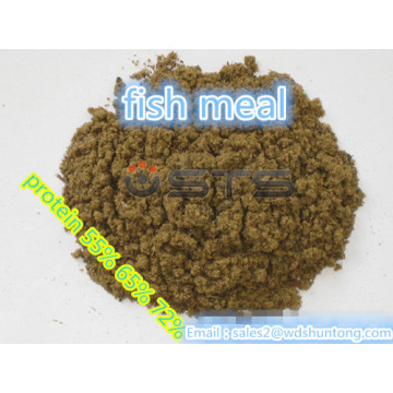 Protein Pulver Fischmehl Hohe Qualität